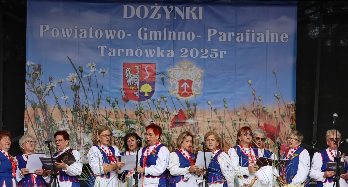 Spotkania Festyny, Tradycja zabawa Dożynki Tarnówce zgromadziły tłumy - zdjęcie, fotografia