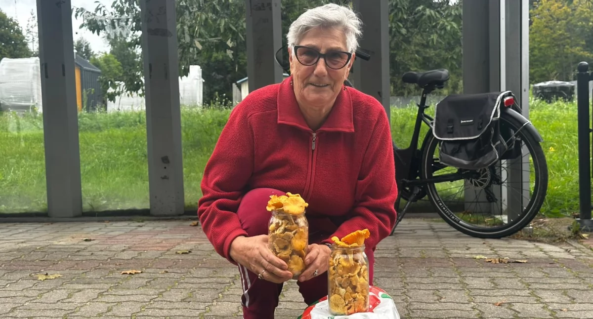 Ludzie losy pasje, Kujan żyje grzybami Handel drodze wciąż - zdjęcie, fotografia