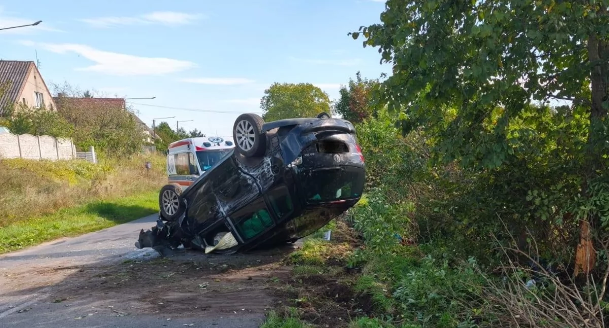 Skutki ukąszenia wyglądały naprawdę groźnie fot. OSP JAstrowie