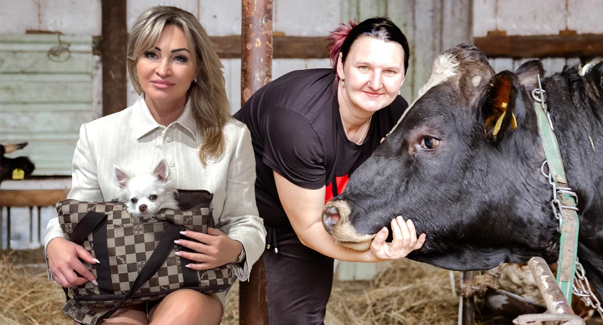 Ludzie losy pasje, Porsche obory! kobiety Złotowa zamieniły życiem - zdjęcie, fotografia