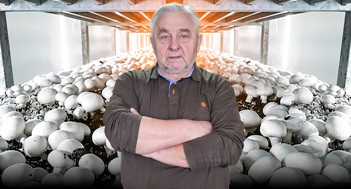 Biznes praca pieniądze, Wstrząs Okonku Agencje wycofały ludzi Okechampu Miasto liczy straty - zdjęcie, fotografia