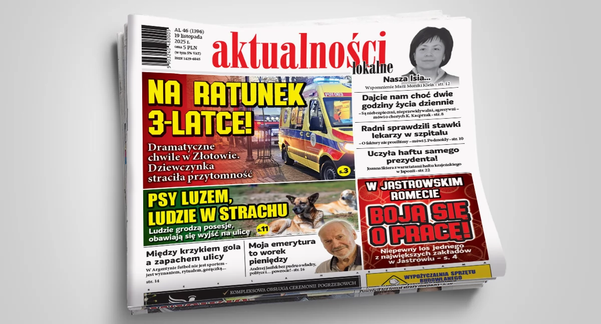 Gazeta Aktualności Lokalne, numer Aktualności Lokalnych [AL46/2025] - zdjęcie, fotografia