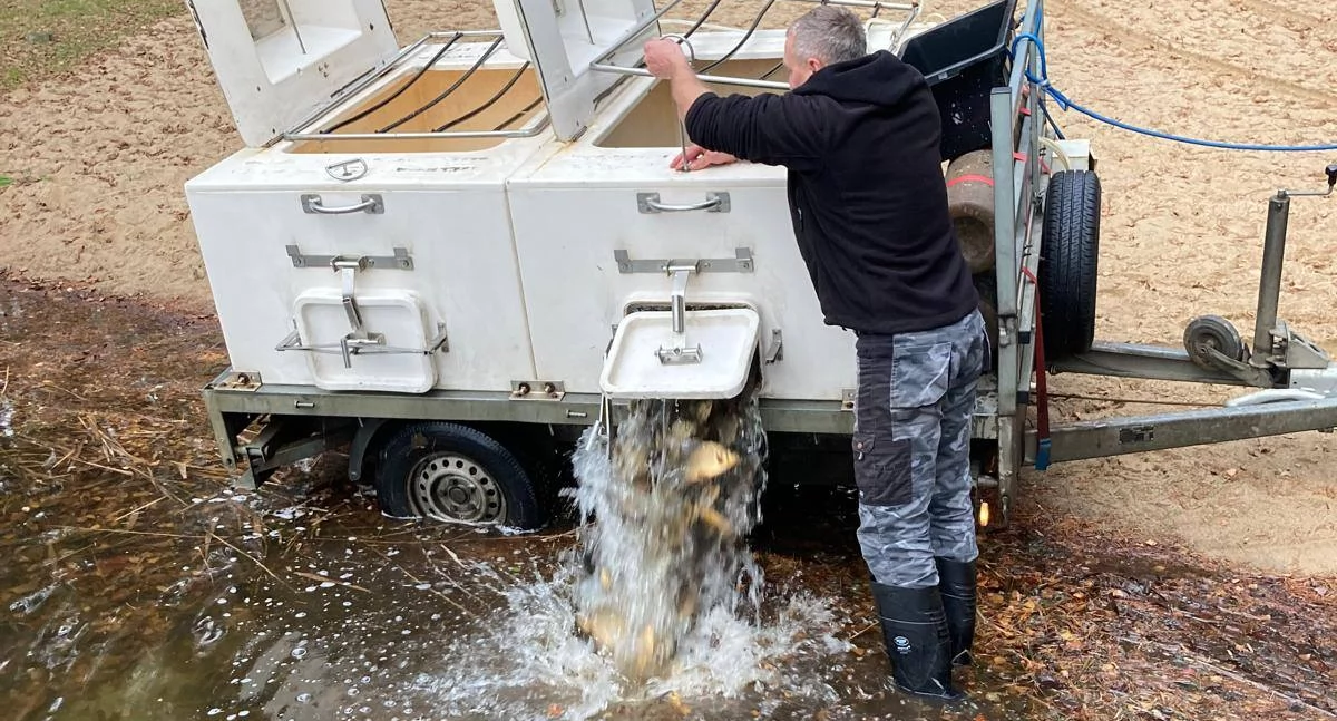 Wędkarstwo Ryby, Rybny desant jeziorach! Setki kilogramów nowych wędkarze wstrzymaniu - zdjęcie, fotografia