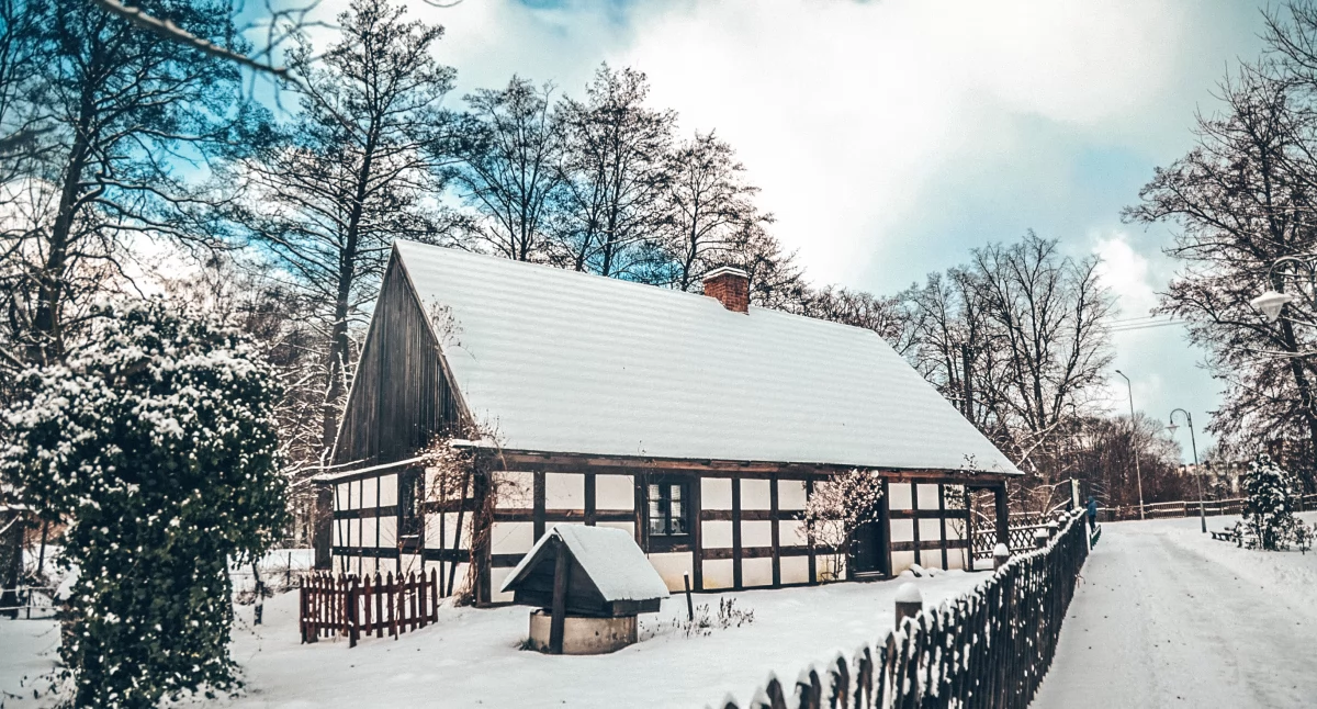 Fot. Agnieszka Wieleba