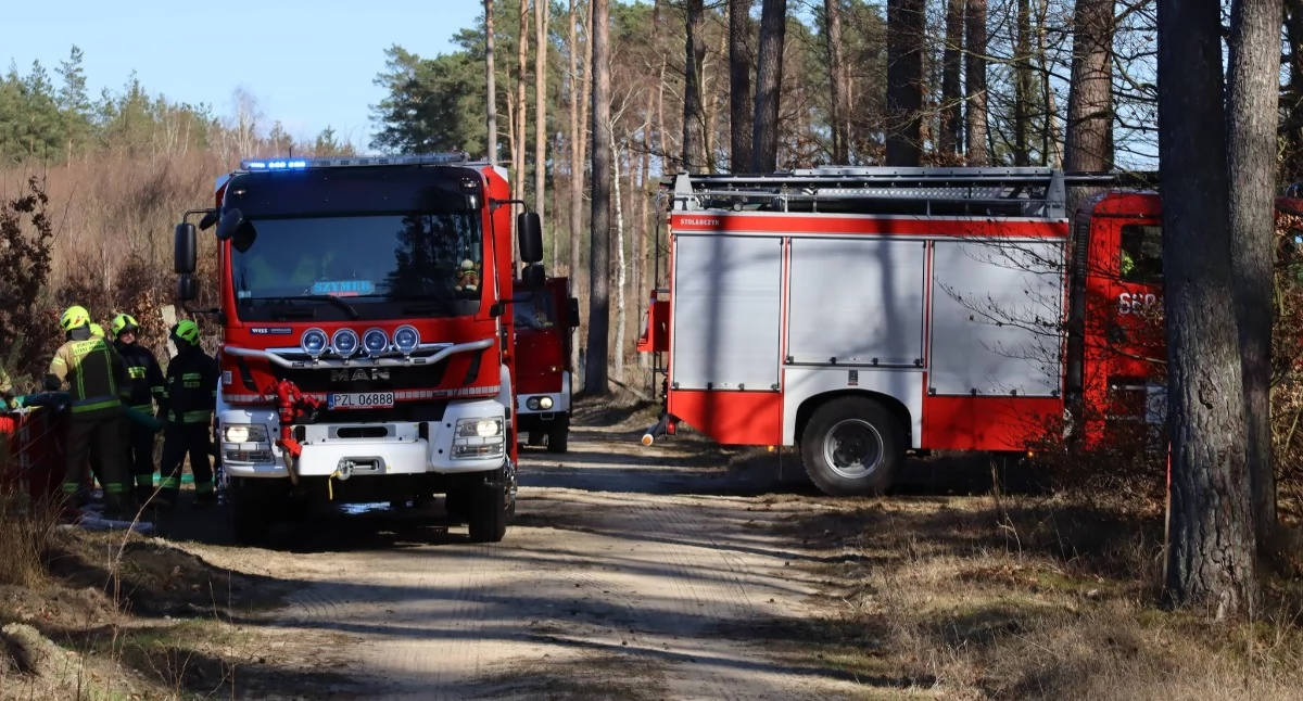 Straż pożarna, Więcej wozów strażackich drogach - zdjęcie, fotografia
