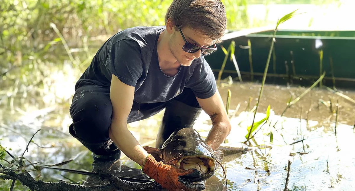 Sum złowiony przez Antoniego Skrentnego kilka lat temu na Jeziorze Miejskim w Złotowie. Ponad 1,40 długości i ponad 15 kg wagi! W myśl zasady No Kill wrócił jeszcze wtedy do wody