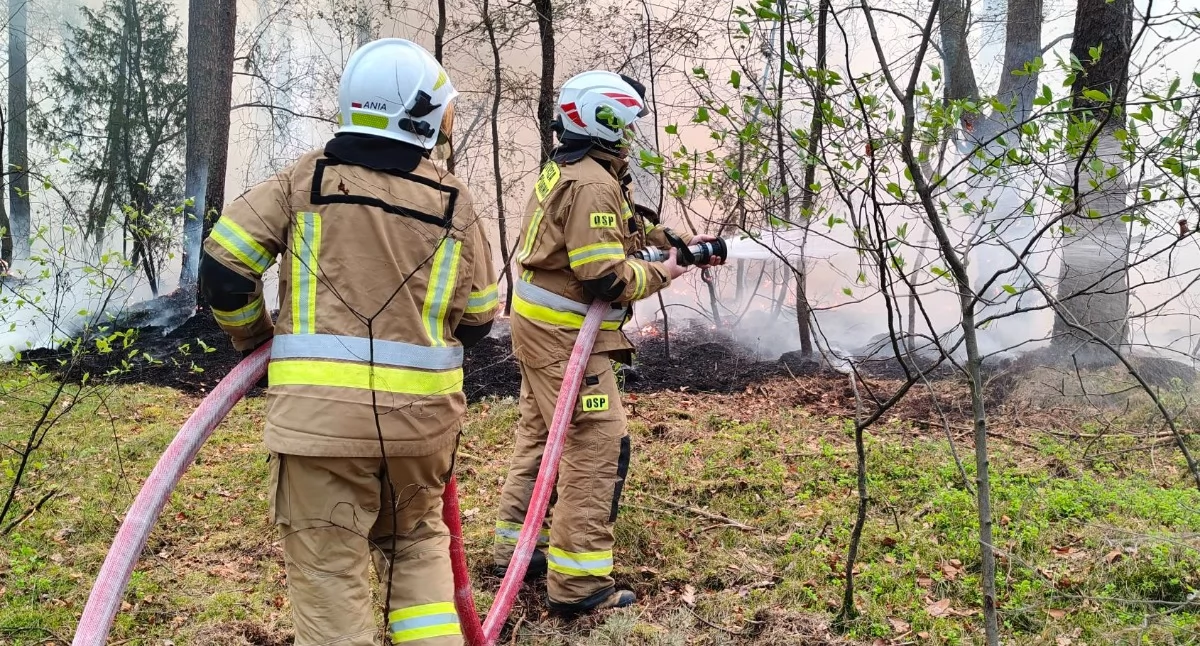 Straż pożarna, Pożar wielogodzinna akcja strażaków trzech powiatów - zdjęcie, fotografia