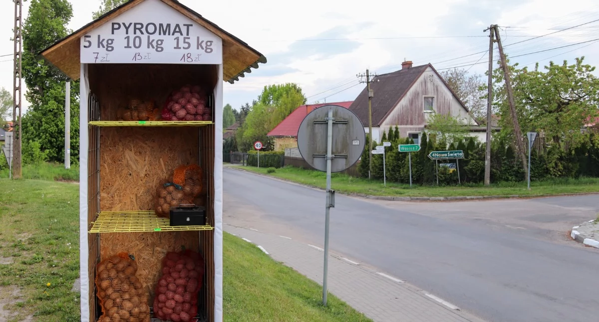 Rolnictwo, Ziemniaki bankomatu Świętej stanął Pyromat - zdjęcie, fotografia