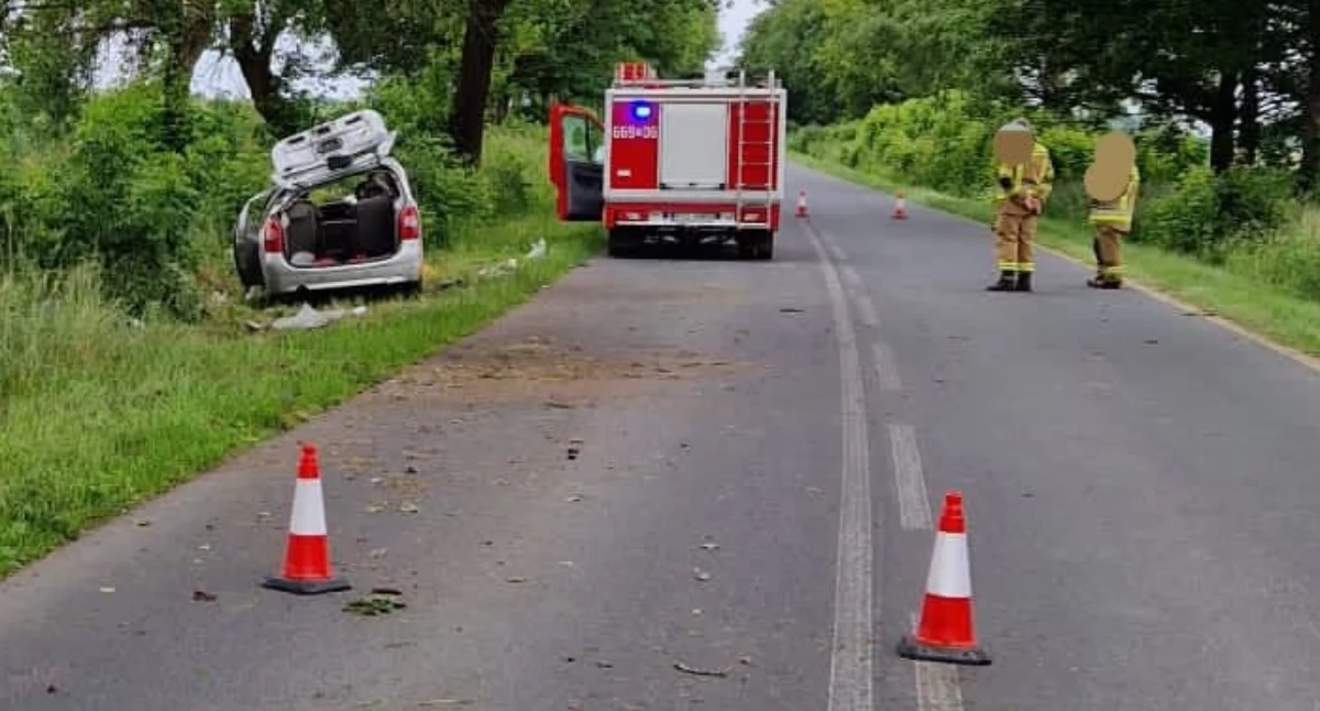 Wypadki drogowe, Kobieta uderzyła citroenem drzewo - zdjęcie, fotografia
