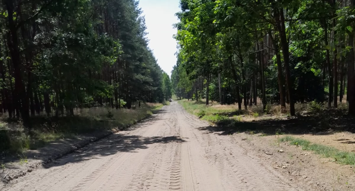Fot. Nadleśnictwo Złotów  