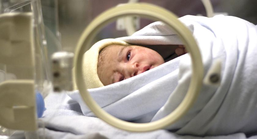 Wartość całego sprzętu, jaki trafia do placówki w ramach najnowszego rozdania WOŚP, wyniesie około pół miliona złotych
