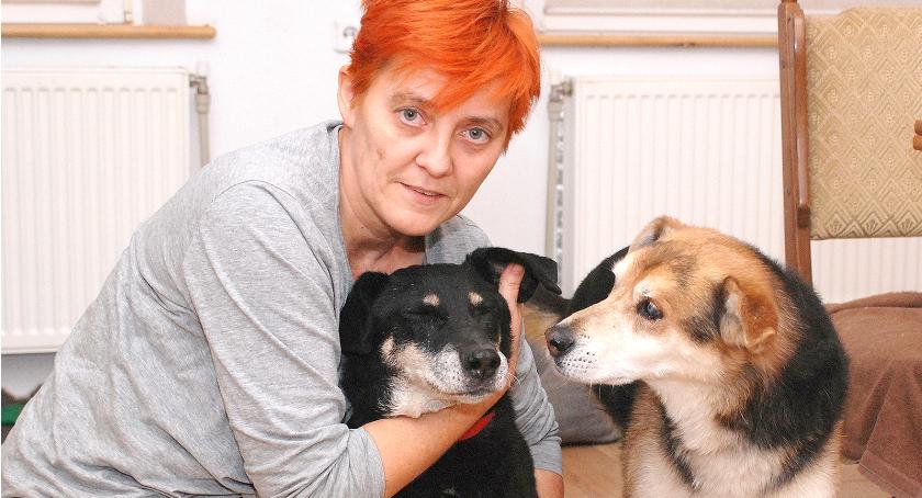 Pani Ania, założycielka fundacji zachęca wszystkich, którym nie jest obojętny los zwierząt do współpracy