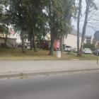 Fotka nr 4 z 10