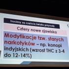 zdjęcie nr 10