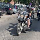 zdjęcie nr 91