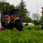 zdjęcie nr 17