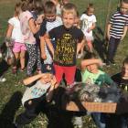 zdjęcie nr 12