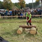zdjęcie nr 28