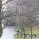 zdjęcie nr 7