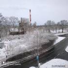 zdjęcie nr 40