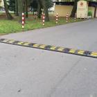 Fotka nr 4 z 7