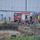 Fotka nr 3 z 12
