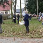 zdjęcie nr 31