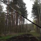 Fotka nr 5 z 8