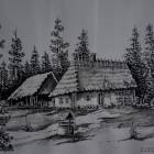 zdjęcie nr 14