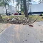 Fotka nr 1 z 5