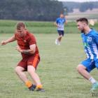 zdjęcie nr 117