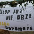 zdjęcie nr 28