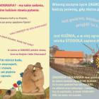 zdjęcie nr 15