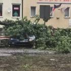zdjęcie nr 7