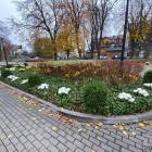 zdjęcie nr 8