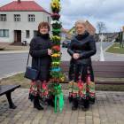 zdjęcie nr 24