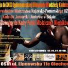 zdjęcie nr 7