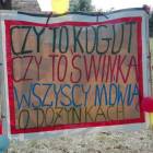 zdjęcie nr 18