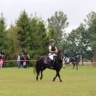 zdjęcie nr 125