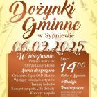 zdjęcie nr 33