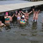 zdjęcie nr 11