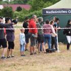 zdjęcie nr 40