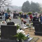 zdjęcie nr 14