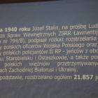 zdjęcie nr 14