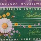 zdjęcie nr 11