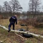 Fotka nr 2 z 7