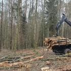 Fotka nr 1 z 4