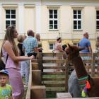 zdjęcie nr 13