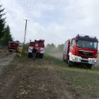 zdjęcie nr 8