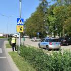 zdjęcie nr 8